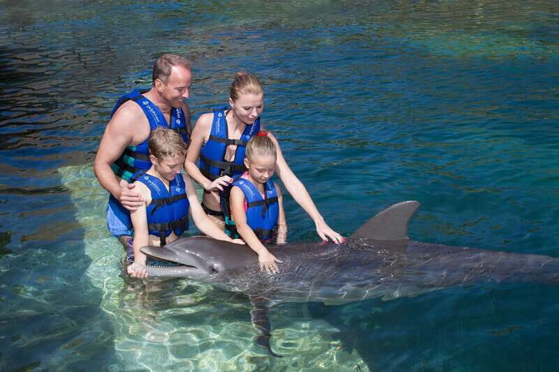 Riviera Maya: Swim with dolphins Primax - Final Thoughts on Value and Experience