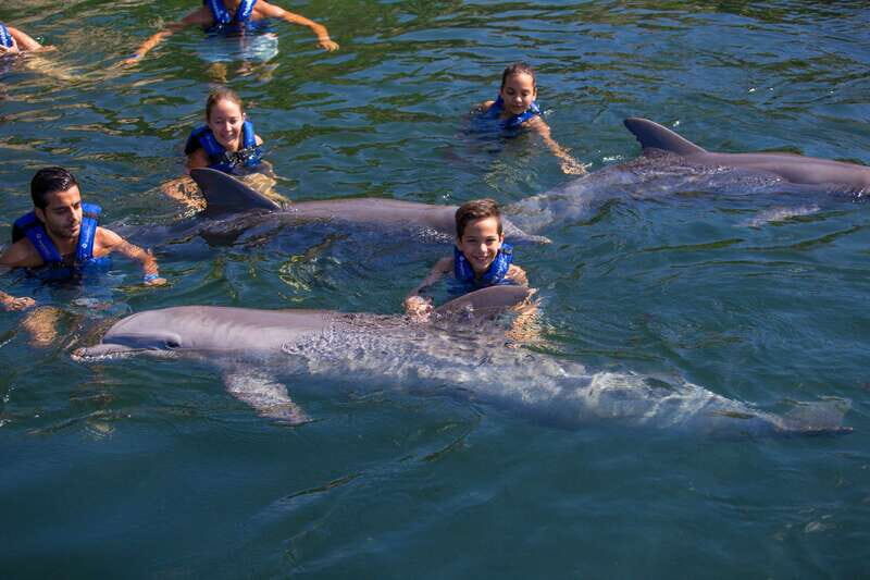 Riviera Maya: Swim with dolphins Primax - FAQ