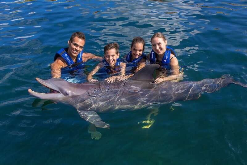 Riviera Maya: Swimming Experience with Dolphins - An In-Depth Look at the Dolphin Experience