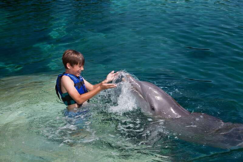 Riviera Maya: Swimming Experience with Dolphins - FAQs