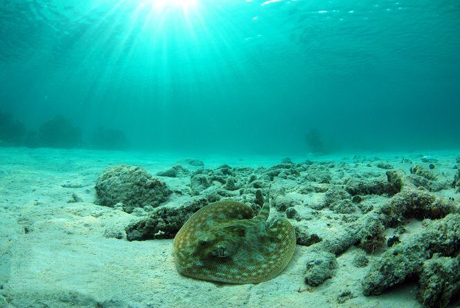 Riviera Maya Ultimate Adventure ATV's Snorkeling & Zip Lines - An In-Depth Look at the Riviera Maya Ultimate Adventure Tour