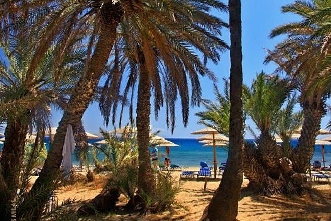RIVIERA - Vai Palm Beach, Toplou Monastery - Experience Overview: A Day of Culture, Nature, and Coastal Beauty