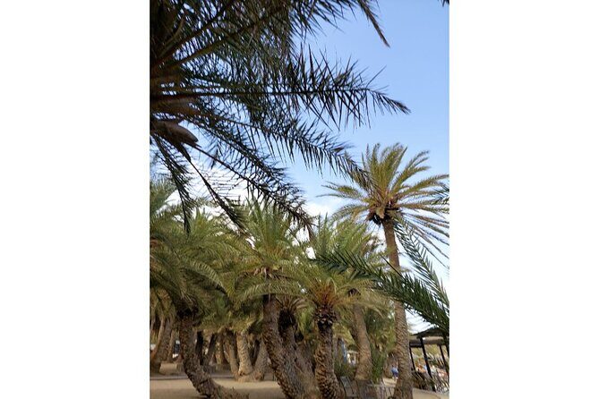 RIVIERA - Vai Palm Beach, Toplou Monastery - Who Will Love This Tour?