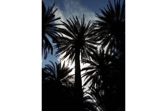 RIVIERA - Vai Palm Beach, Toplou Monastery - Final Thoughts: Is This Tour Worth It?