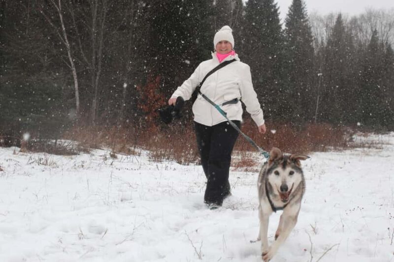 Rivière-Rouge: Snowshoe with Joering Harness and Sled Dogs - Key Points