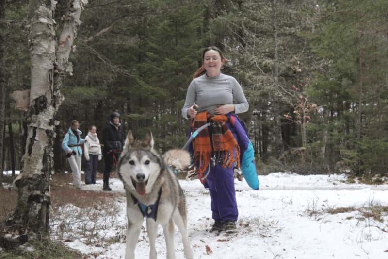 Rivière-Rouge: Snowshoe with Joering Harness and Sled Dogs - An Authentic Winter Adventure in Quebec’s Laurentians