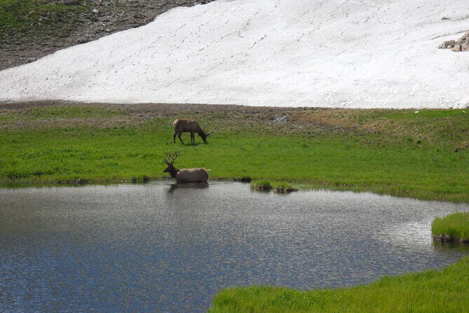 RMNP: Bear Lake Corridor Tour - Key Points