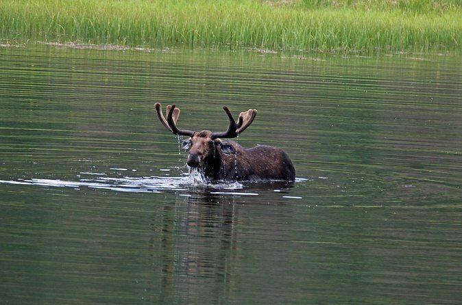 RMNP: Bear Lake Corridor Tour - Final Thoughts