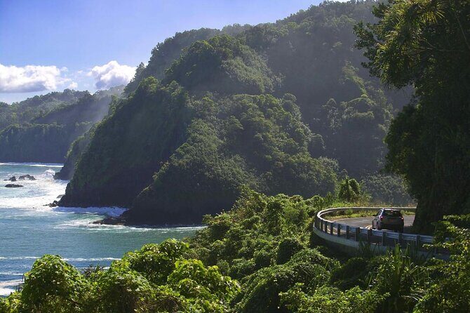 Road to Hana in Mercedes Van: Waterfalls and Black Sand Beach - Key Points