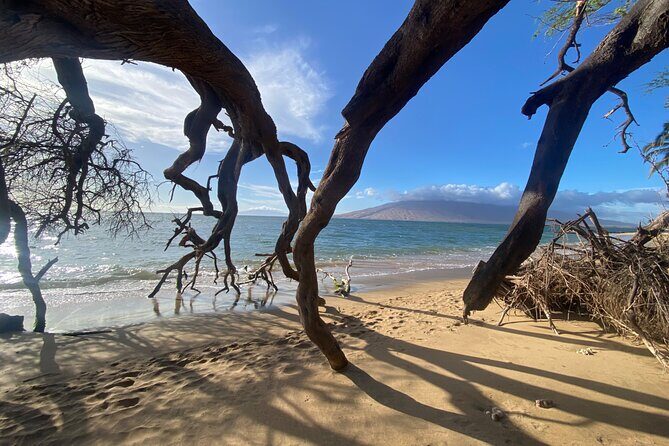 Road to Hana Maui Tours - FAQ: Your Questions About the Road to Hana Maui Tour