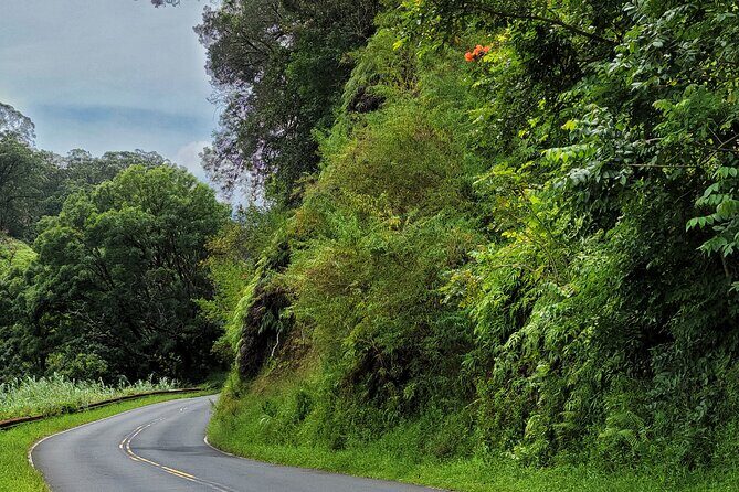 Road to Hana Private Full Day Tour - Who is this tour best for?