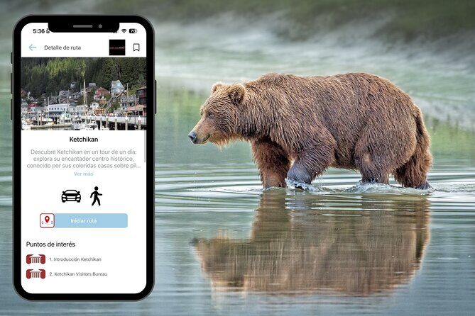 Road Trip through Alaska - A Practical and Authentic Alaska Road Trip