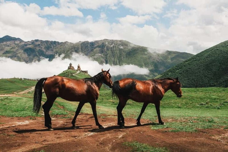 Roads were made for journeys, not the destinations. - Authentic Insights from Travelers