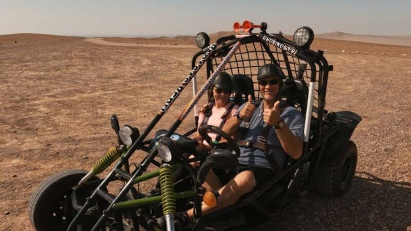 Roaring through the Reserve: Minibuggy Adventure in Paracas - Key Points