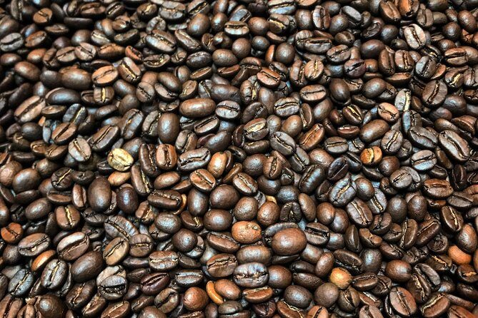 Roasting Experience at 14th Coffee Co - FAQ