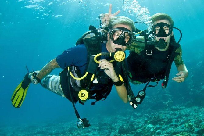 Roatan 1 Tank Shore Dive, Sloth & Monkey Park, City Tour plus Transportation - Key Points