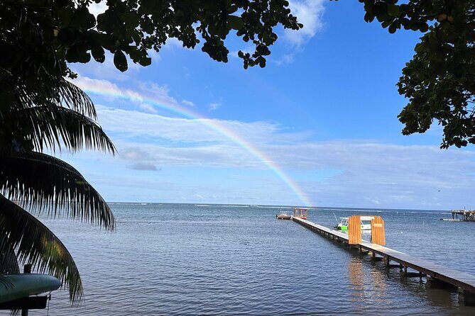 Roatan 2 Dive Scuba Adventure for Certified Divers - Roatan 2 Dive Scuba Adventure for Certified Divers: A Complete Review