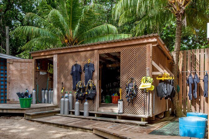 Roatan 2 Dive Scuba Adventure for Certified Divers - Who Should Consider This Tour?