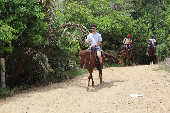 Roatan ATV Adventure, Wildlife Eco-Park and Horseback - A Deep Dive into the Roatan ATV, Wildlife, and Horseback Tour