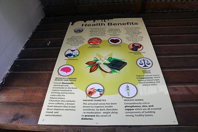 Roatan ATV Sightseeing, Sloth & Monkeys, Chocolate & Rum Factory - Final Thoughts: Is This Tour Worth Your Time?