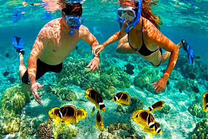 Roatan Buggy Adventure, Snorkeling, Beach Pass plus Private Transfer - FAQs