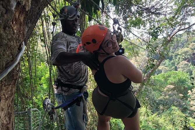 Roatan Canopy Zipline Tour - The Itinerary: What to Expect