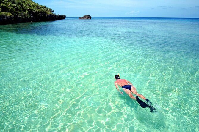 Roatan Chocolate Factory Rum Factory and Beach Day Tour - Key Points