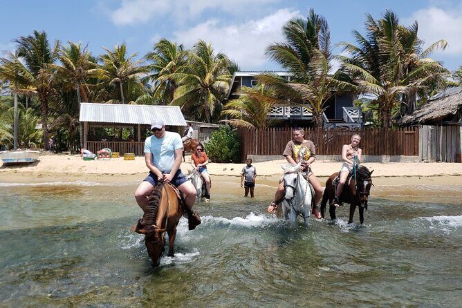 Roatan Combo Horseback Ride with Zip Line Wildlife and Snorkel - Discover Roatan’s Best with the Combo Horseback Ride, Zip Line, Wildlife, and Snorkel Tour