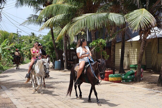Roatan Combo Horseback Ride with Zip Line Wildlife and Snorkel - Key Points