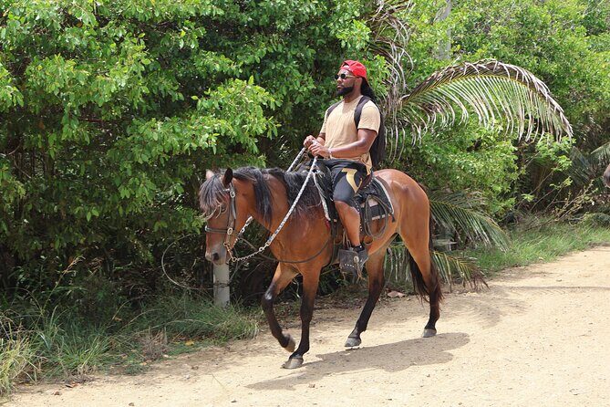 Roatan Combo Horseback Ride with Zip Line Wildlife and Snorkel - Who Is This Tour Best For?