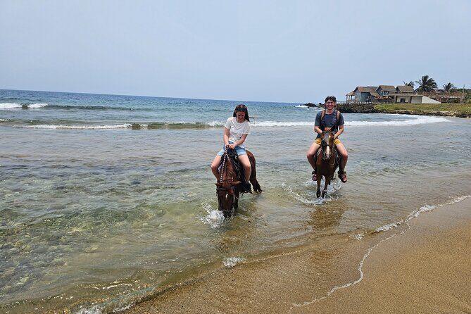 Roatan Combo Horseback Ride with Zip Line Wildlife and Snorkel - FAQ About the Roatan Combo Tour