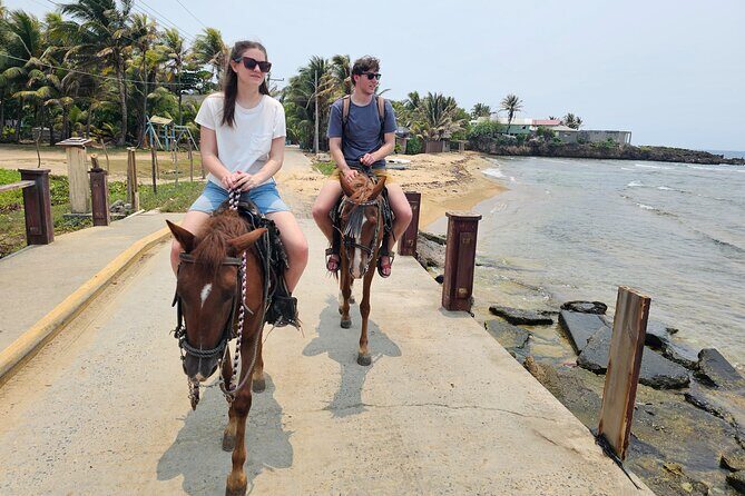 Roatan Combo Horseback Ride with Zip Line Wildlife and Snorkel - Wrapping It Up: Who Should Book This Tour?