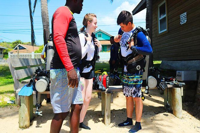 Roatan Discover Scuba Diving Experience - Key Points