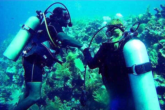 Roatan Discover Scuba Diving Experience - Final Takeaway