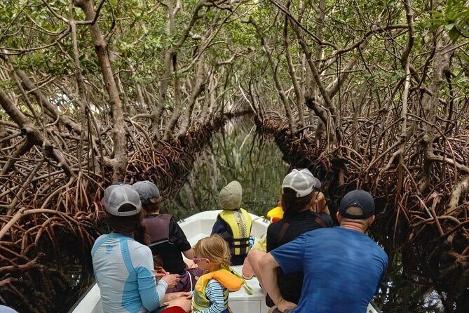 Roatan East Side Mangrove Tunnels and Snorkel Adventure - Key Points