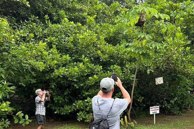Roatan Eco Caribbean Culture Park and Beach - A Closer Look at the Roatan Eco Caribbean Culture Park and Beach Tour