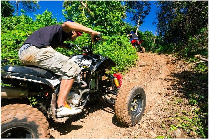 Roatan Eco-jungle Safari Dune Buggy Wildlife Beach Fun - Key Points