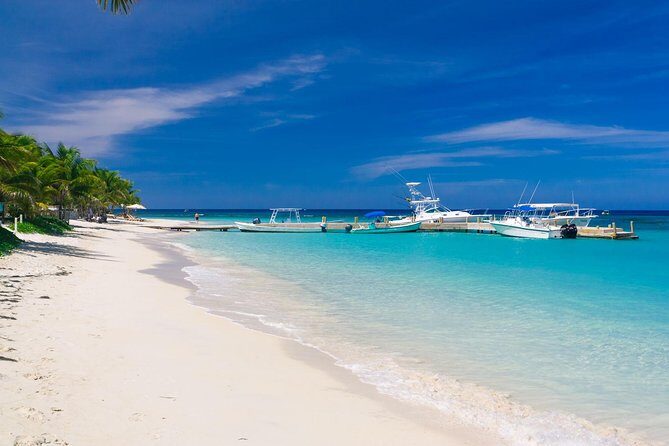 Roatan Excursion: Beach Break/ Plus Sloth Park and Snorkel Adventure - The Itinerary: What to Expect