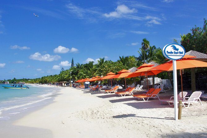 Roatan Excursion: Horseback Ride / Plus Sloth Park and Beach Break - Key Points