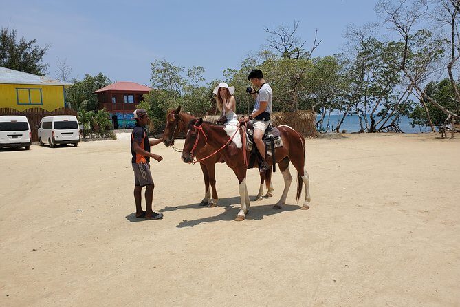 Roatan Excursion: Horseback Ride / Plus Sloth Park and Glass Bottom Boat - A Deep Dive into Roatan’s Excursion