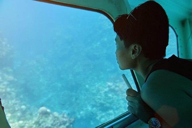 Roatan Excursion: Horseback Ride / Plus Sloth Park and Glass Bottom Boat - A Closer Look at the Roatan Excursion