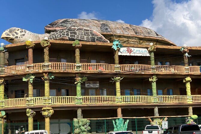 Roatan Excursion: Sloths and monkey hang out /Chocolate & Rum C. - What the Reviews Say