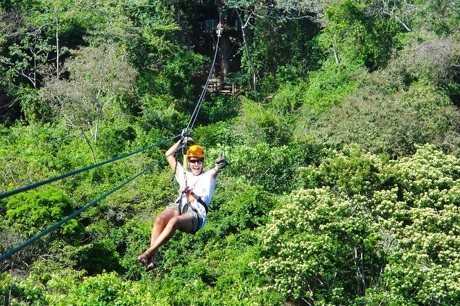 Roatan Excursion: Zip-Line with Sloths park - Key Points