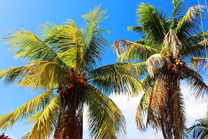 Roatan Fun Bus Group Sightseeing Island Private Tour - FAQ