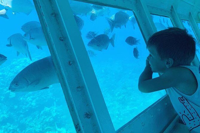 Roatan Glass Bottom Boat Tour and Beach - Key Points