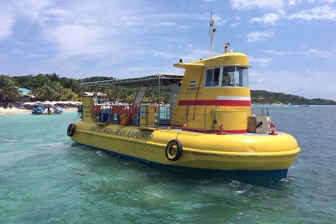 Roatan Glass Bottom Boat Tour and Beach - A Detailed Look at the Roatan Glass Bottom Boat Tour and Beach Experience