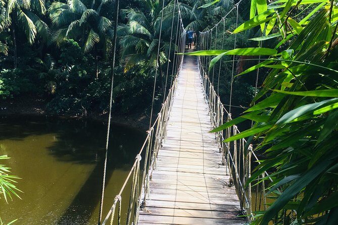 Roatan Gumbalimba Preservation Eco-Park & Beach - Transportation, Group Size, and Value