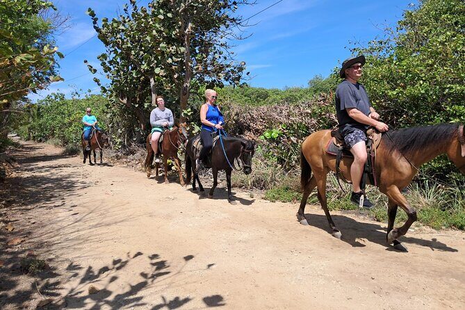 Roatan Half-day Combo 4 in One - Engaging Introduction: Discover Roatan’s Diverse Adventure in Just Four Hours