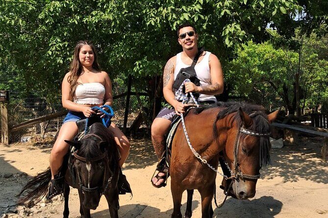 Roatan Half-day Combo 4 in One - Final Thoughts: Is This Tour Right for You?