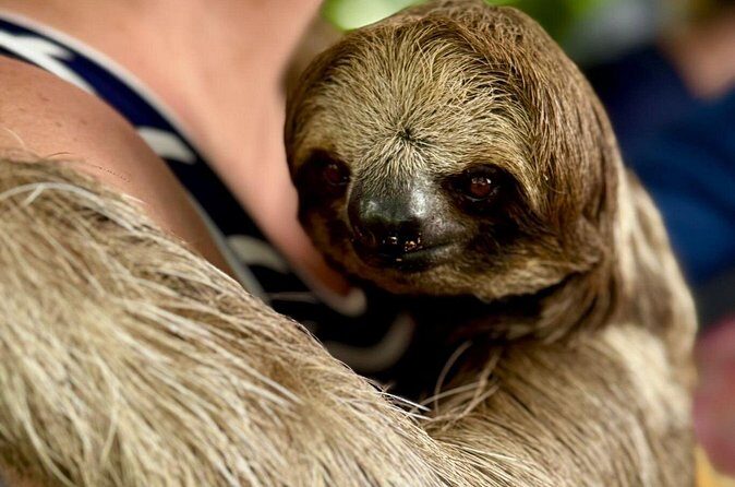 Roatan Highlight City Private Tour & Beach Break - Who Will Appreciate This Tour?